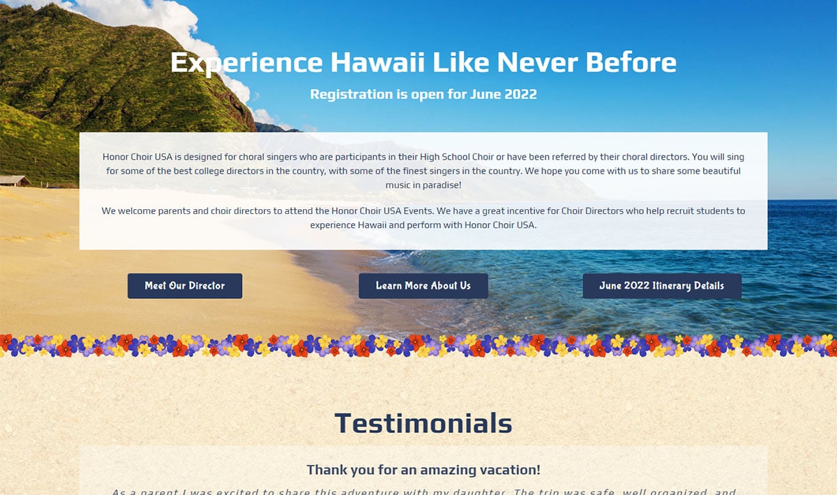 Travel industry website design